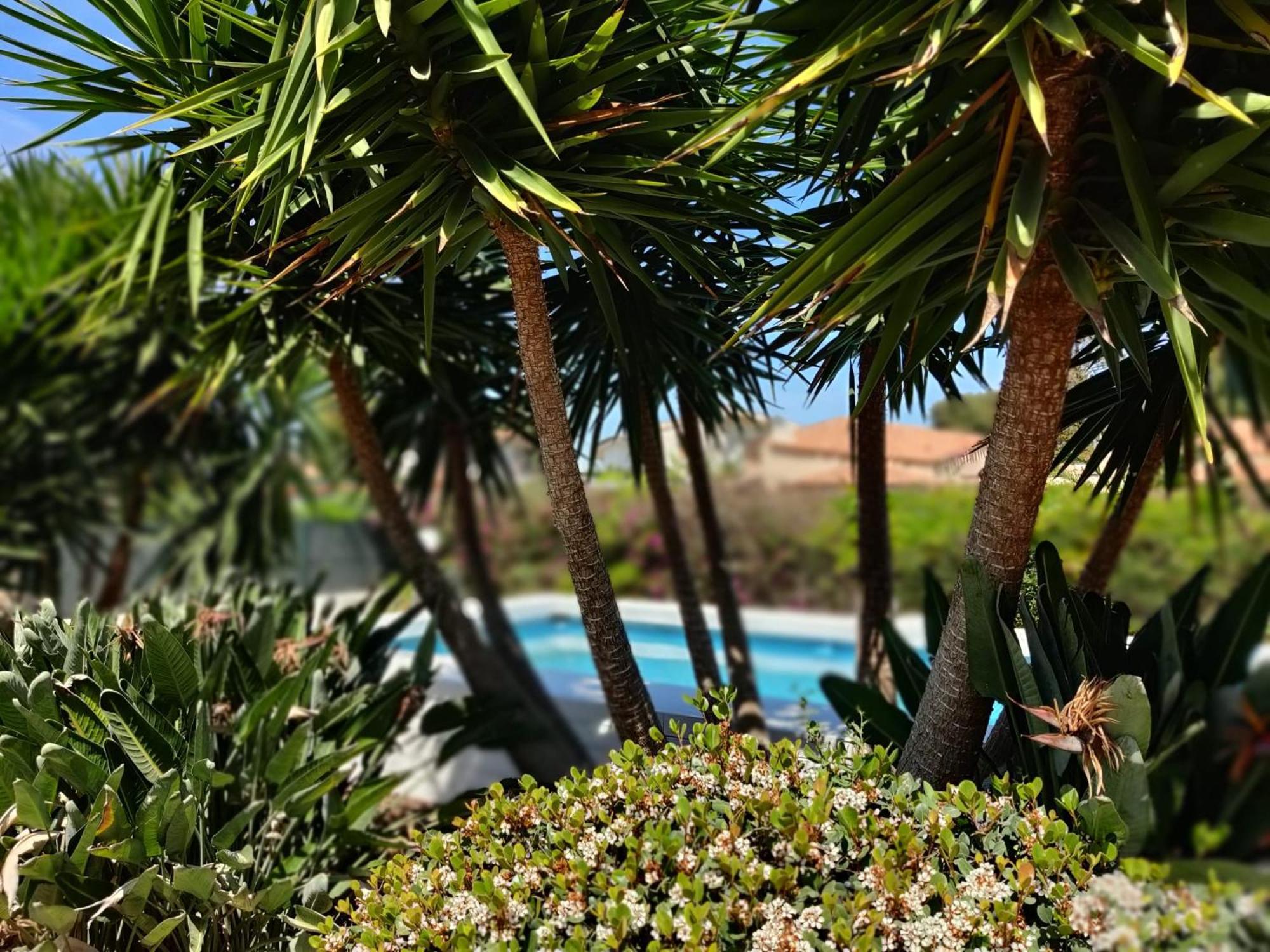 Pool Seaside Relais - Ville Ninfea, Marea, Rosa E Cassiopea Фонтане-Бьянке Экстерьер фото
